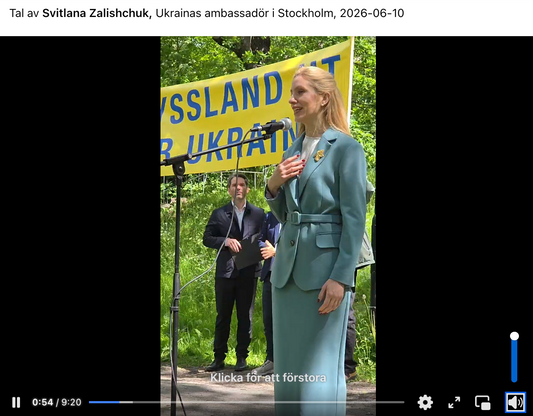 Manifestationen i onsdags utanför Rysslands ambassad!